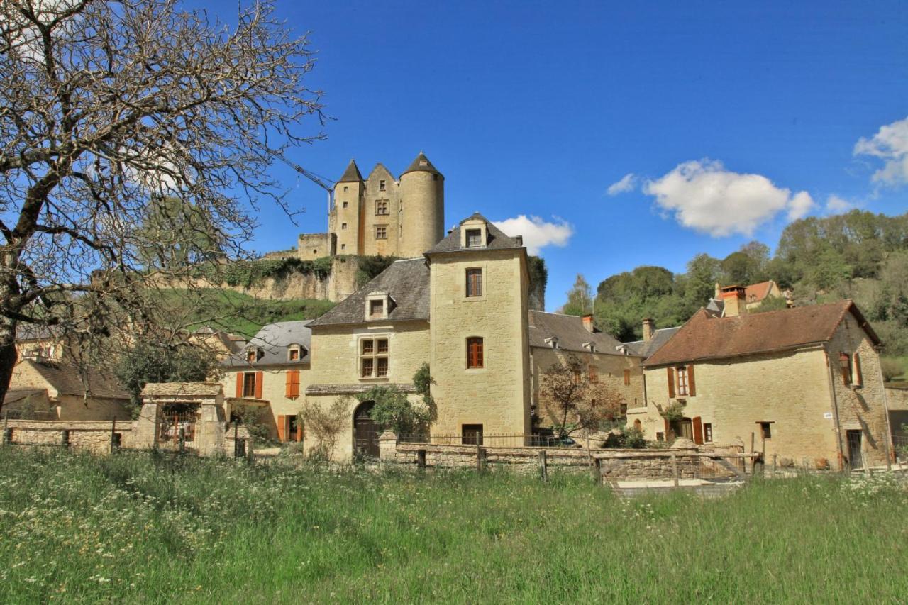 petite maison en pierre au coeur du Périgord noir Salignac Eyvigues Exterior foto