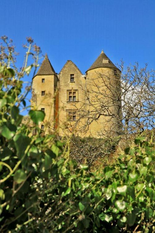 petite maison en pierre au coeur du Périgord noir Salignac Eyvigues Exterior foto