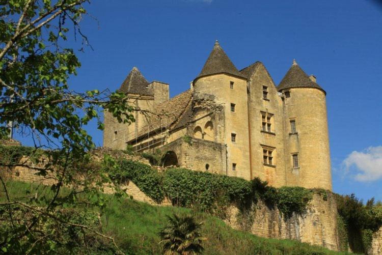petite maison en pierre au coeur du Périgord noir Salignac Eyvigues Exterior foto