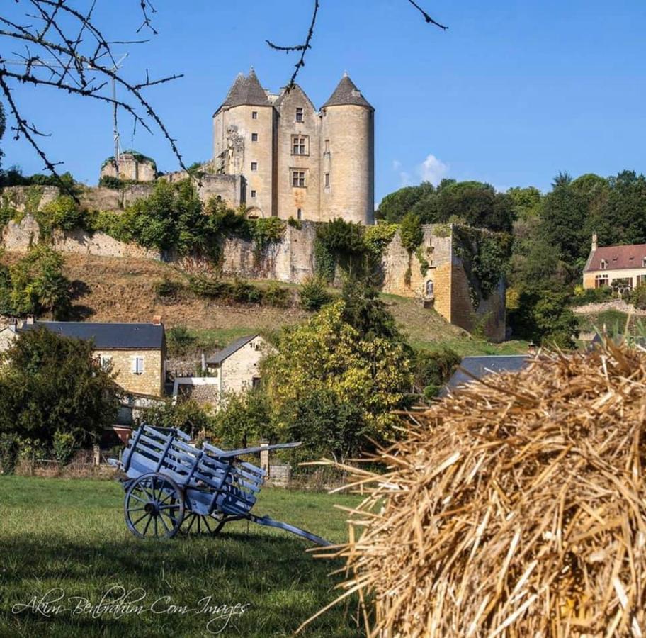 petite maison en pierre au coeur du Périgord noir Salignac Eyvigues Exterior foto